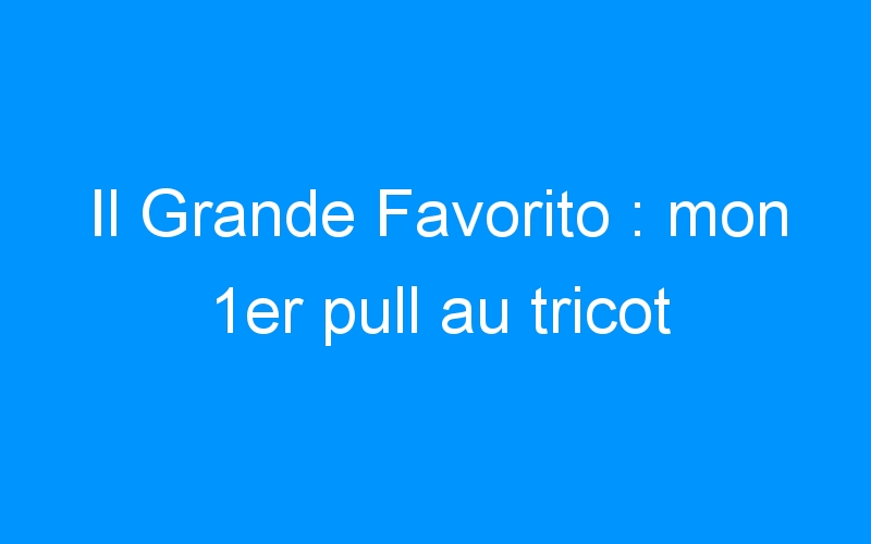You are currently viewing Il Grande Favorito : mon 1er pull au tricot