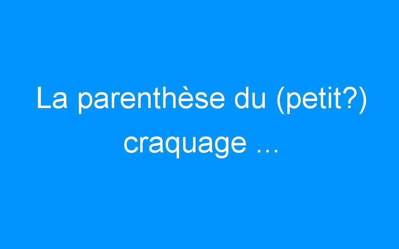 You are currently viewing La parenthèse du (petit?) craquage …