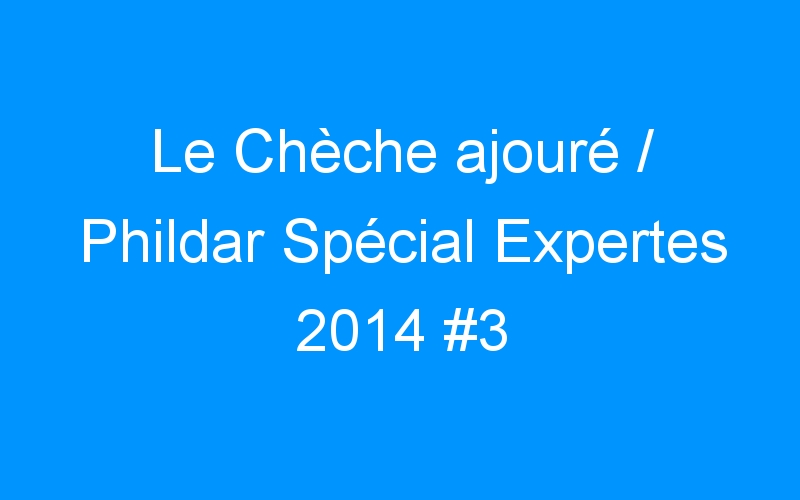You are currently viewing Le Chèche ajouré / Phildar Spécial Expertes 2014 #3