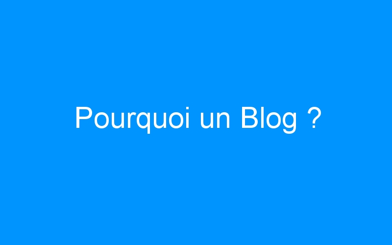 You are currently viewing Pourquoi un Blog ?
