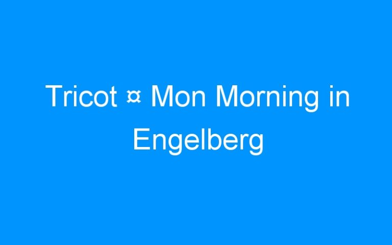 Lire la suite à propos de l’article Tricot ¤ Mon Morning in Engelberg