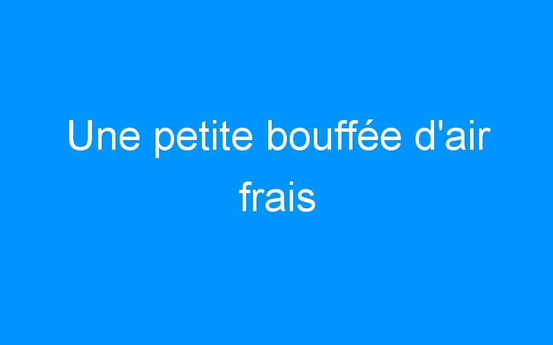 You are currently viewing Une petite bouffée d'air frais